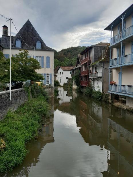 Maison Ichabelenia Salies-de-Bearn Bagian luar foto